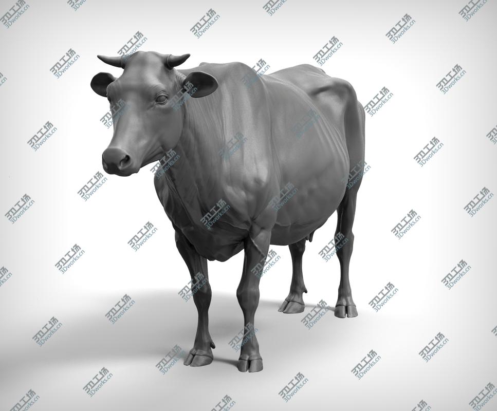images/goods_img/2021040232/3D Cow Realistic/3.jpg